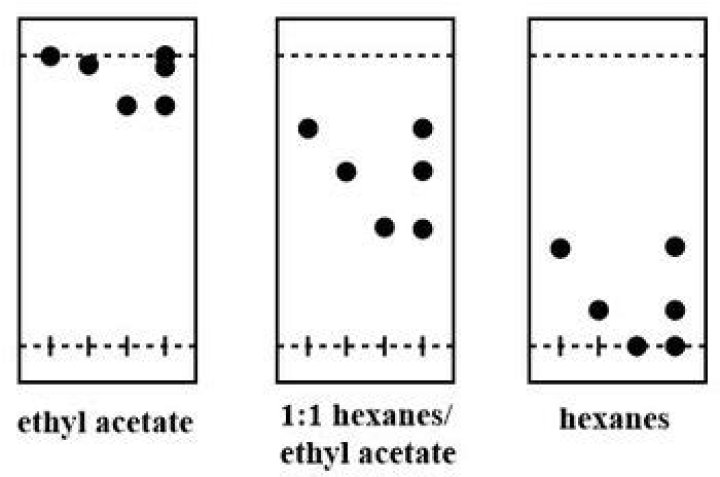 Are hexanes and ethyl acetate miscible?