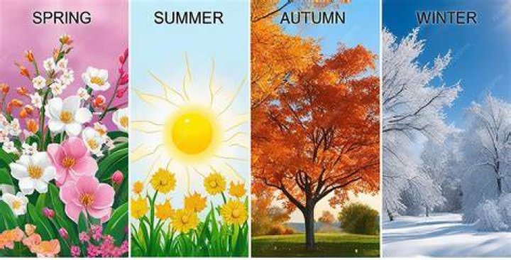 How many seasons are there of chaotic?