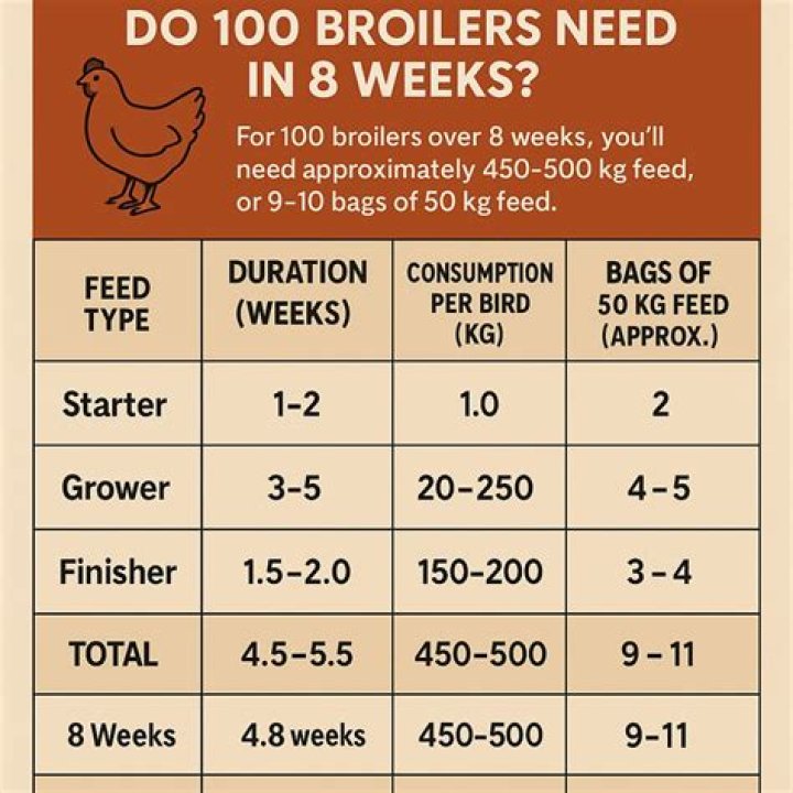How many weeks do meat chickens need?