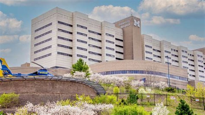 Is Michigan medicine a public hospital?