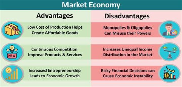 What are some disadvantages of a single product economy?
