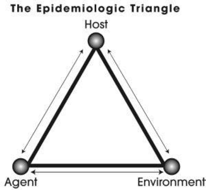 What are the 4 components of the epidemiological triangle?