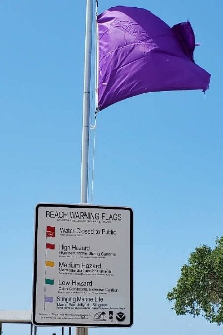 What does a purple flag on the beach mean?