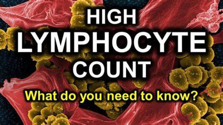 What does lymphocytes mean in a blood test?