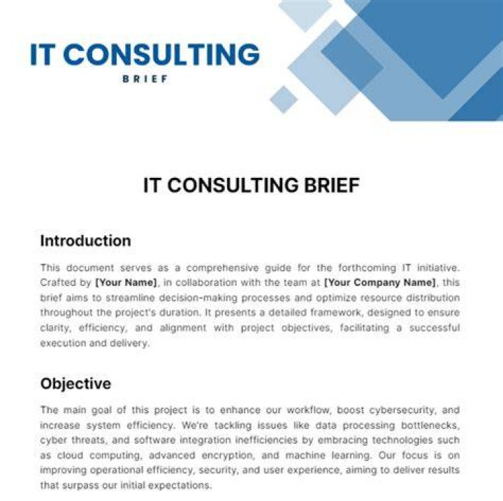 What is a consulting brief?