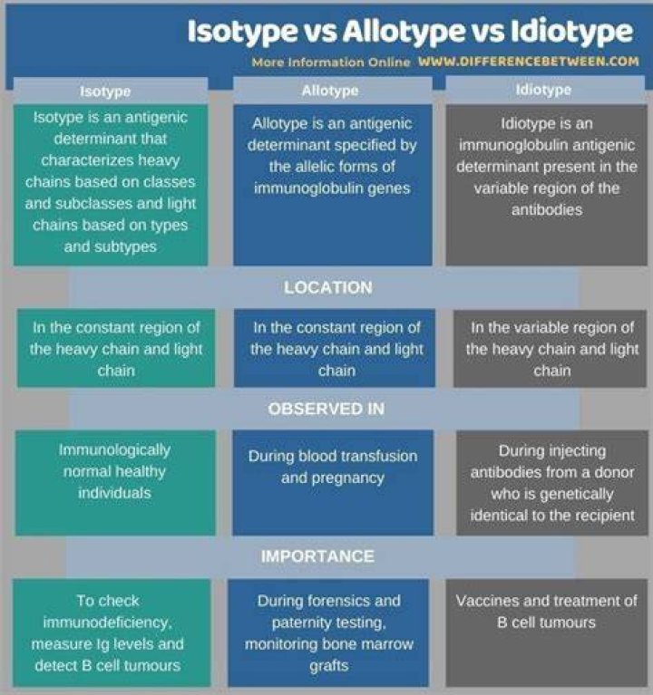What is difference between isotype allotype and idiotype?