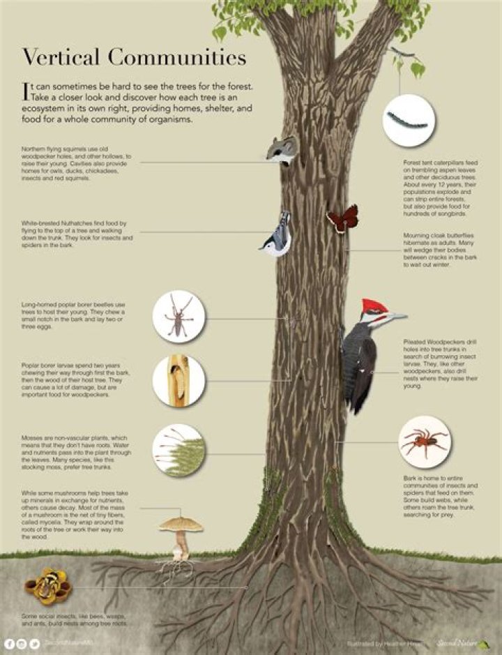 What is meant by interpretive communities?