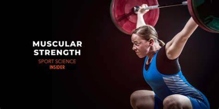 What is muscular strength and example?