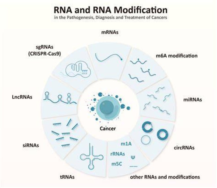 What is RNA in cancer?