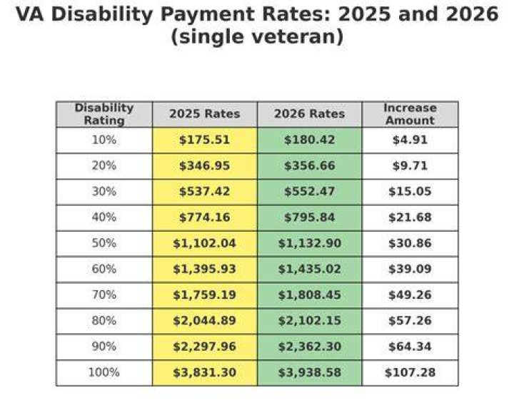 What is the average veterans disability payment?