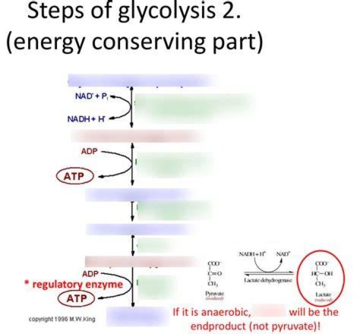 What is the energy consuming step in glycolysis?
