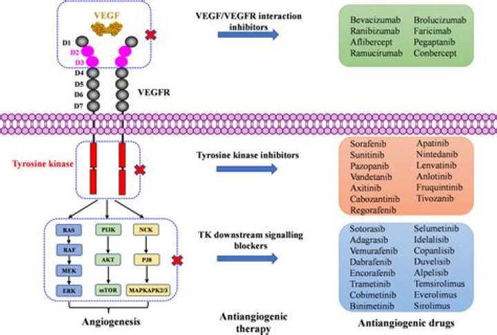 What is the specific purpose of a VEGF inhibitor?