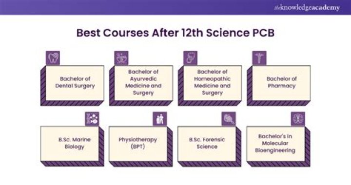 Which course is best after 12 science?