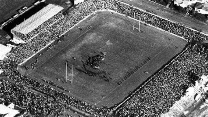 Who was involved in the 1981 Springbok tour?