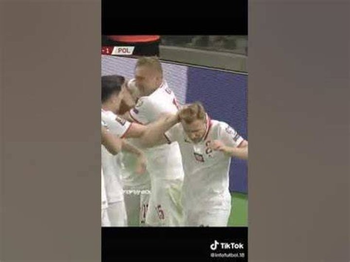 Why is Albania v Poland interrupted?